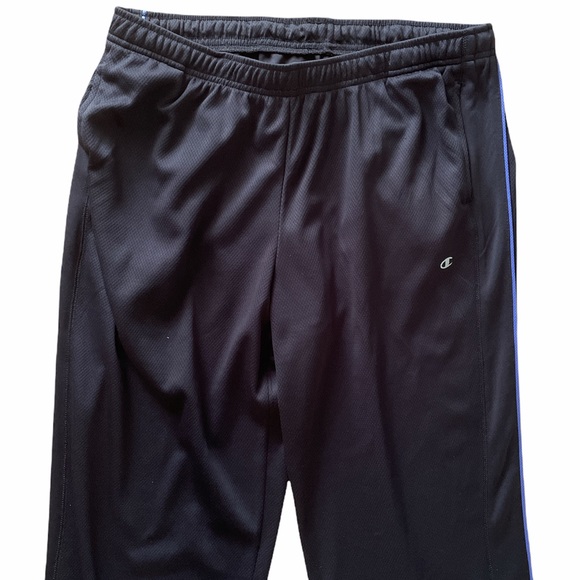 Champion Men’s Vapor PowerTrain Athletic Pants L - Picture 4 of 5